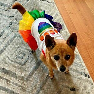 Meet your Posher, Schurman